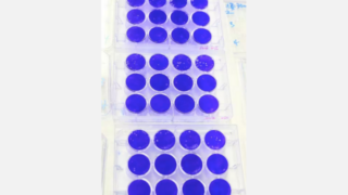 お茶で新型コロナ無害化　１分で最大９９％　奈良県立医大