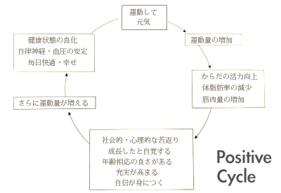 加齢と運動のポジティブなサイクル