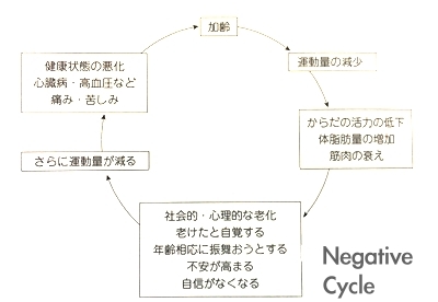 加齢と運動不足のネガティブなサイクル